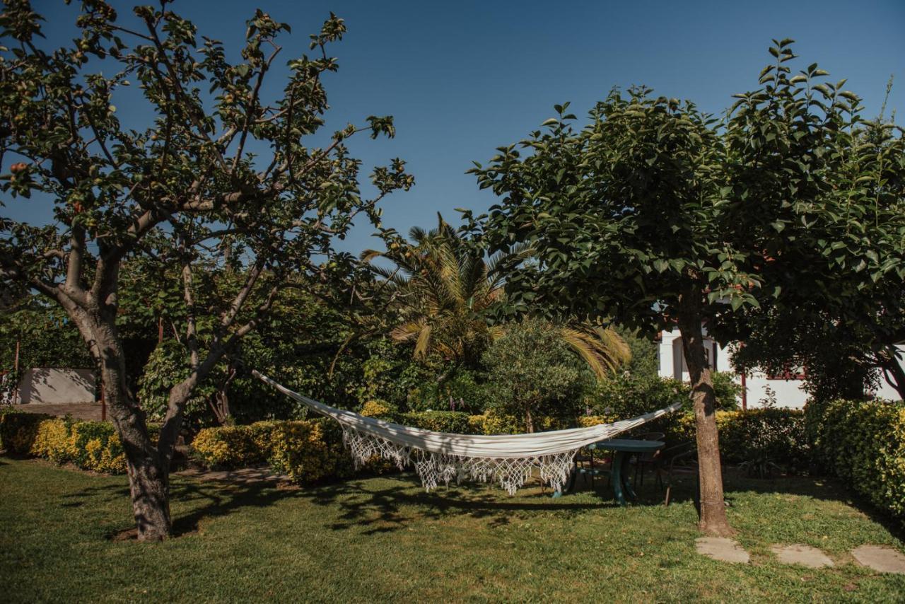 Casa De Marlaes Villa Lousada Bagian luar foto