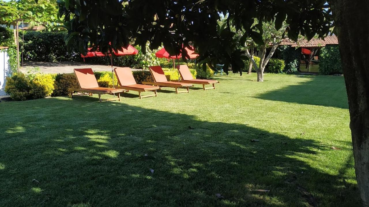 Casa De Marlaes Villa Lousada Bagian luar foto