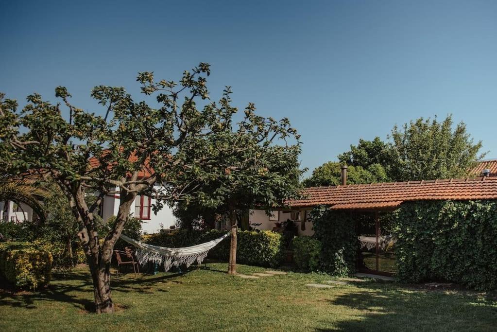 Casa De Marlaes Villa Lousada Bagian luar foto