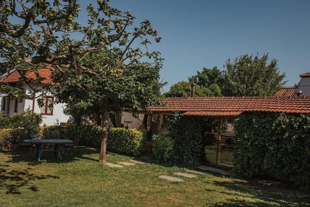 Casa De Marlaes Villa Lousada Bagian luar foto