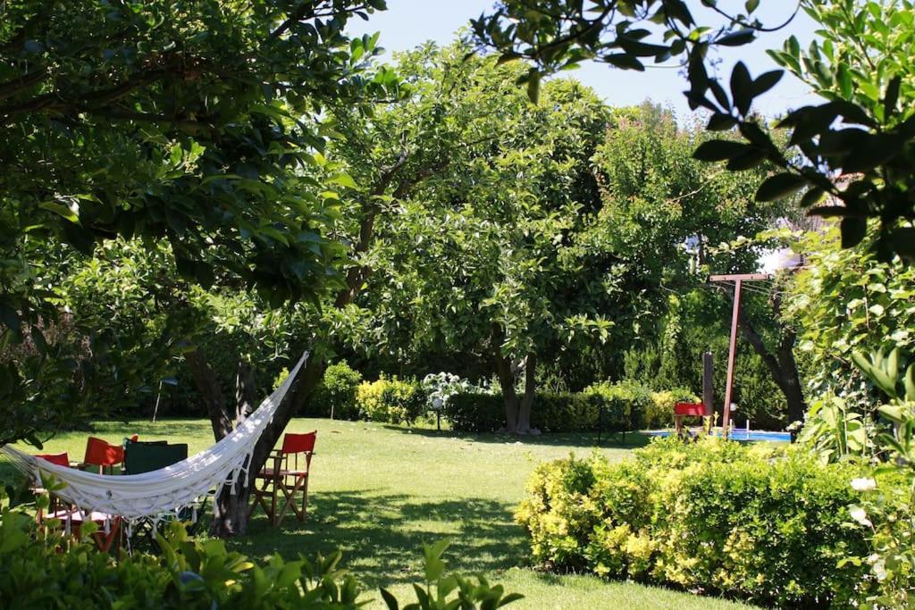Casa De Marlaes Villa Lousada Bagian luar foto