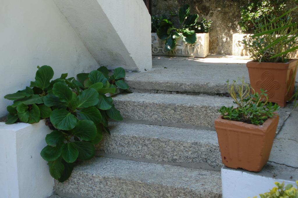 Casa De Marlaes Villa Lousada Bagian luar foto